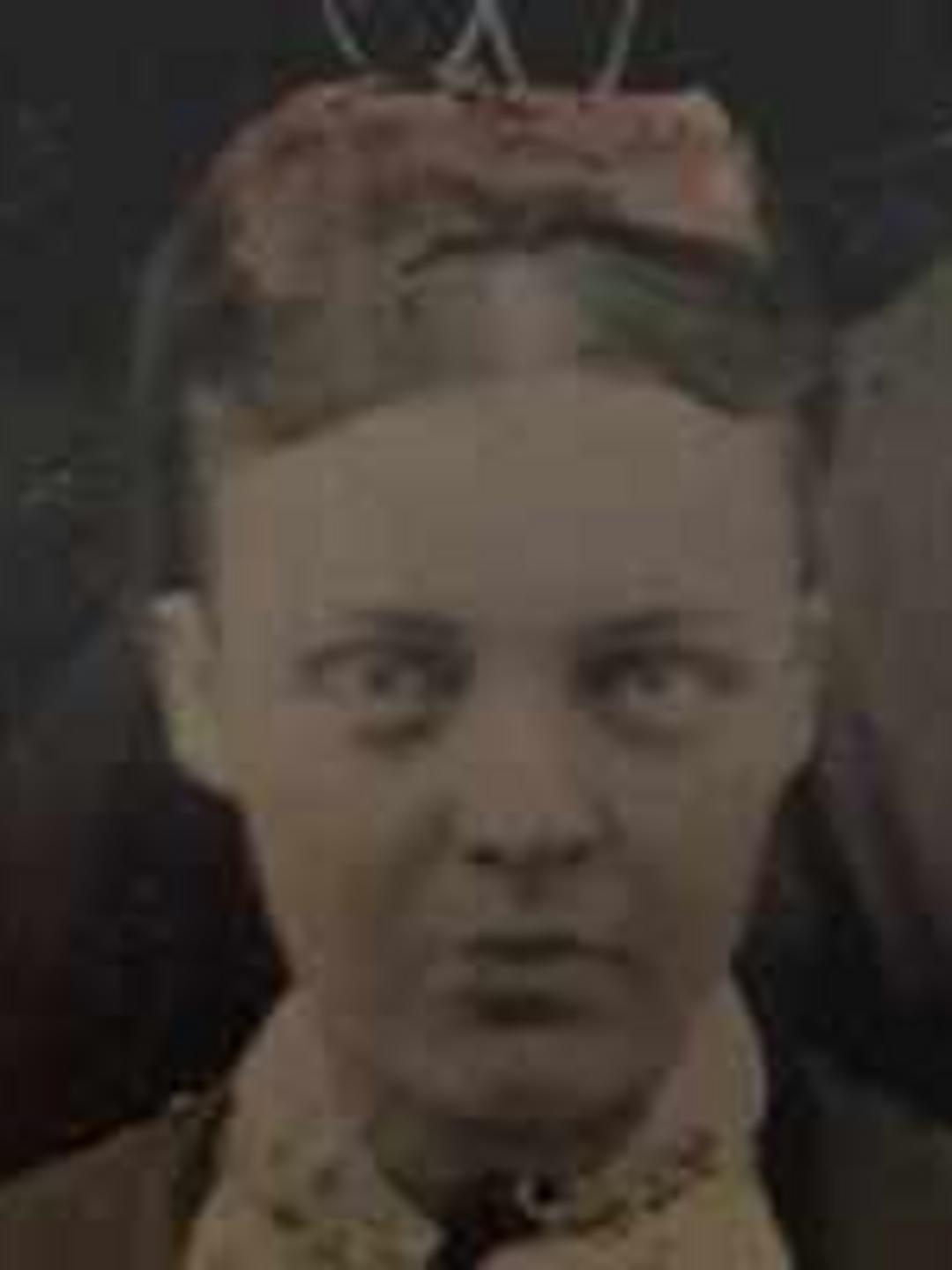 Mariette Cooley (1850 - 1931) Profile